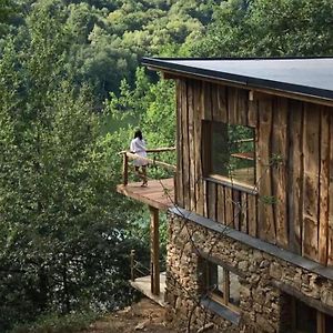 Lake House II // Alauzet Ecolodge + Nature Spa Castelnau-de-Mandailles Exterior photo