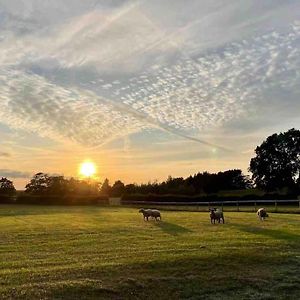 英格尔顿Sunset View A Quiet And Romantic Rural Retreat For 2 Adults Just Outside Ingleton公寓 Exterior photo