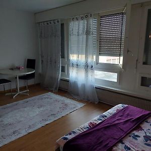 Kleine Apartment Im Zentrum 伯尔尼 Exterior photo