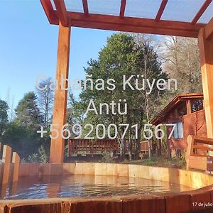 普孔Cabanas Kuyen Antu别墅 Exterior photo