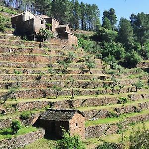 Les Combres, Gite Nature Avec Piscine Malbosc Exterior photo