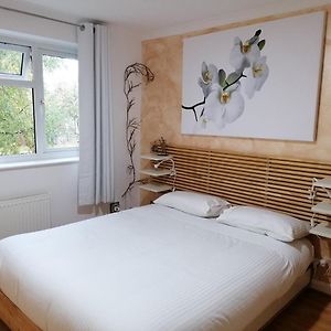 Beautiful And Peaceful Large Double Bedroom Near Olympic Park In Stratford 伦敦 Exterior photo