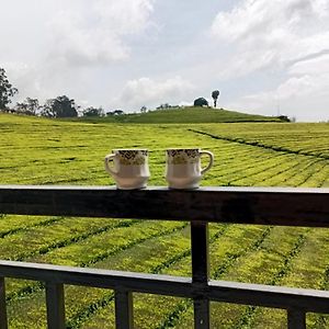 Tea Estate View Stay 乌提 Exterior photo