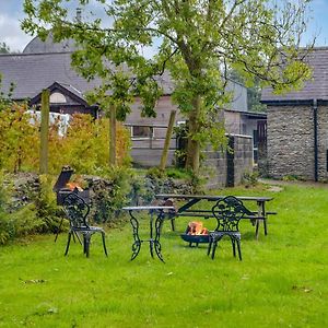 Caws Cottage Cenarth Exterior photo