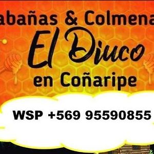 Cabanas El Diuco En Conaripe 4别墅 Exterior photo