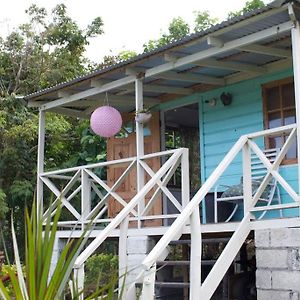 The Likkle Nature Queen Cottage 安东尼奥港 Exterior photo