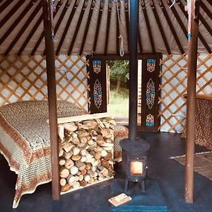 Mongolian Yurt Sleeping 2+2 With Outdoor Space Llanbrynmair Exterior photo