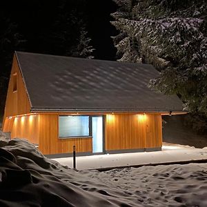 VitanjeBrunarica Chalet Rogla Sauna别墅 Exterior photo