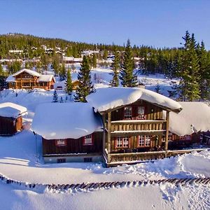 Grand Cabin On Nesfjellet Alpin With Ski In Out 内斯比恩 Exterior photo