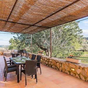 Delightful Mallorca Villa Empaltada 3 Bedrooms Private Pool Magnificent Garden Selva 塞尔瓦 Exterior photo