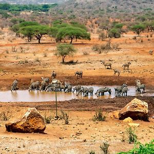 凯丽古娜斯瑞娜狩猎山林小屋 Tsavo Exterior photo