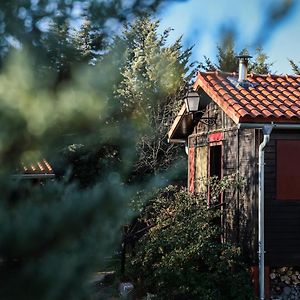 Casa Rural La Canadiense Log Cabin Buenache de la Sierra Exterior photo