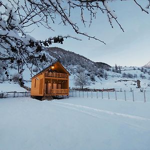 梅斯蒂亚 Wood House旅馆 Exterior photo