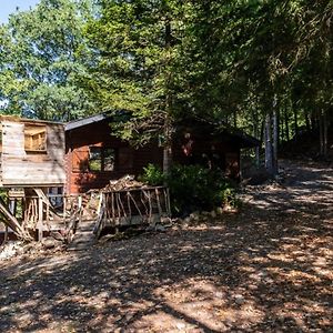 Chalet In The Woods With Jacuzzi And Sauna Manhay Exterior photo