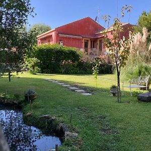 Casa Gino Petrulli Etna, Villa Con Piscina 扎费拉纳-埃特内阿 Exterior photo