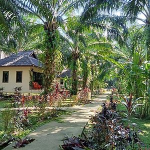 考索棕榈花园度假酒店 Khao Sok National Park Exterior photo