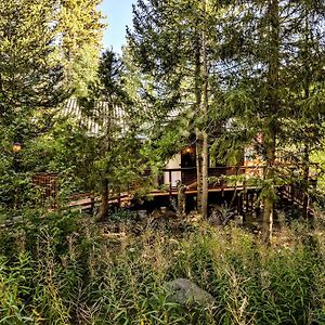 Quiet Truckee River Cabin With Deck And Stunning View! Exterior photo
