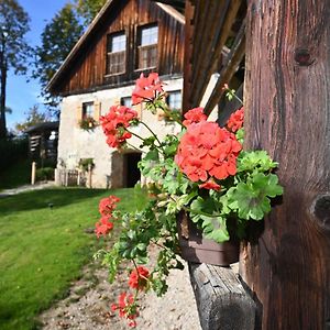 Slovenian House Gostece-Vintage Apartma 莫济列 Exterior photo