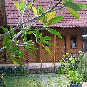 Mysha Guest House-Lombok 特特巴图 Exterior photo