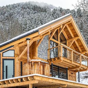 Saint-Jean-Saint-NicolasLes Chalets D'Elena别墅 Exterior photo