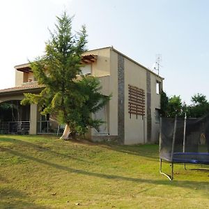 Villa Vasili 特里卡拉 Exterior photo