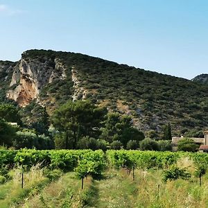 Maison Au Pied Des Collines Du Luberon A Lourmarin Hameau Des Lointes Bastides Exterior photo