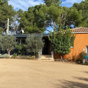 Lacoste Chambre D'Hotes - Petit Paradyzen - Lac Du Salagou住宿加早餐旅馆 Exterior photo