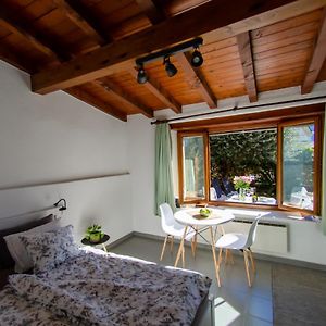 Rustico Al Sole - Just Renewed 1Bedroom Home In 隆科索普拉阿斯科纳 Exterior photo