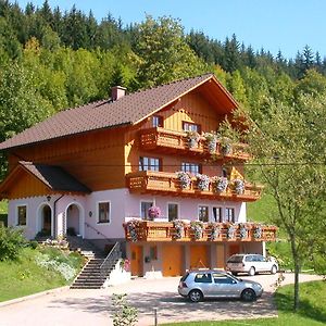 Urlaub Am Bauernhof Bei Familie Steinbrecher 巴德米滕多夫 Exterior photo