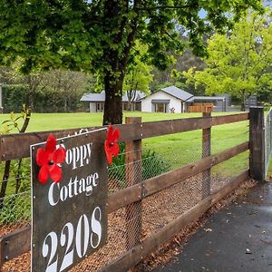 Unique And Secluded Cosy Cottage Bilpin Exterior photo