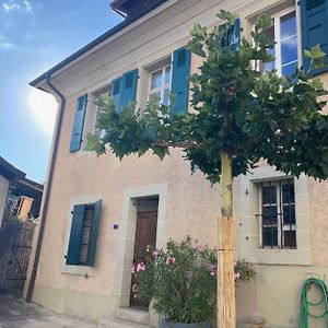 Mont-sur-RolleCharming Vinyard House - Lake Geneva别墅 Exterior photo