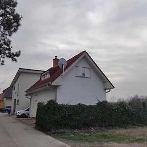 Dunajská StredaDovolenkovy Dom Priamo Na Brehu别墅 Exterior photo