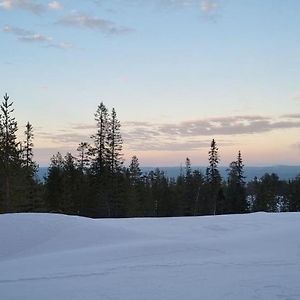 Fjallstugan 萨伦 Exterior photo