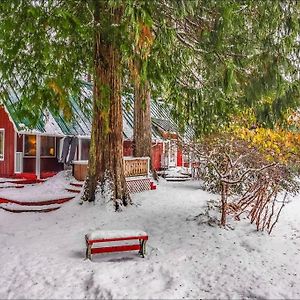 New: Steps From White River Near Mount Rainier National Park Greenwater Exterior photo