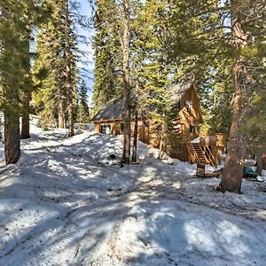 TamarackBear Valley Cabin - Ski To Cross Country Trails!别墅 Exterior photo