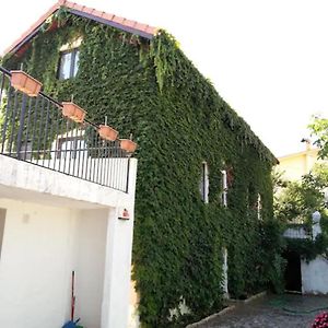 菲盖拉-达福什Casa Agricola Do Limonete别墅 Exterior photo