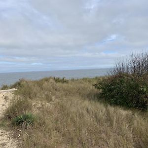 Sandy Dunes At The Beach - Beachfront, Wi-Fi, Pets Home North Camellia Acres Exterior photo