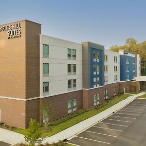 Springhill Suites By Marriott Charlotte 亨特斯维尔 Exterior photo