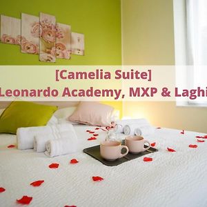 Camelia Suite Leonardo Academy, Mxp & Lakes 塞斯托卡伦代 Exterior photo