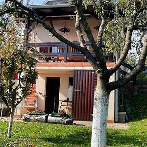 Holiday House With A Parking Space Krapinske Toplice, Zagorje - 20722 特美好 Exterior photo