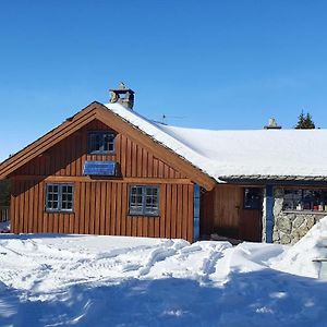 高尔Cozy Log Cabin At Beautiful Nystolsfjellet别墅 Exterior photo