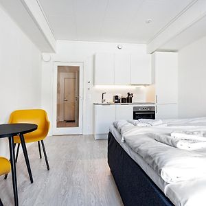 Stylish And Serviced Studio Apartment In Lofoten 斯沃尔韦尔 Exterior photo