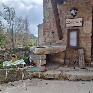 RojalsCal Tous, La Socarrimada别墅 Exterior photo