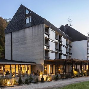 Hotel Luisenpark 巴特贝格匝本 Exterior photo