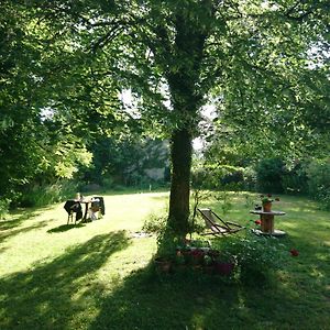 Grange Renovee Et Son Jardin Dans L'Avant Pays Savoyard Champagneux Exterior photo