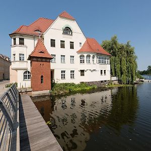 Fewo Auf Der Dominsel - Seerose 勃兰登堡 Exterior photo