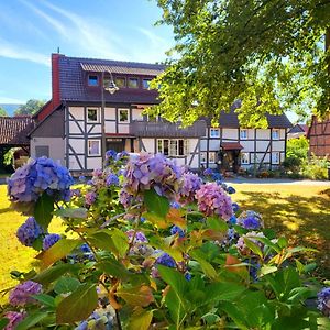 汉诺威-明登Gaestehaus Am Weser-Radweg公寓 Exterior photo