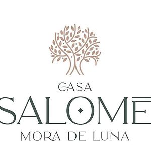 Casa Rural Salome, Mora De Luna, Al Lado Del Rio Luna Vega de Caballeros Exterior photo