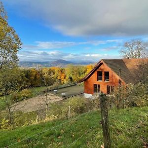 GempenWunderschoenes Gaestehaus Mit Grandioser Aussicht公寓 Exterior photo