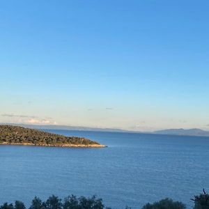 The Bower - Volos Free Diving Lesson Marathos  Exterior photo